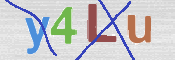 CAPTCHA Image